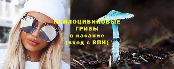 мяу мяу мука Семилуки