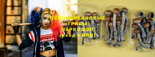 прущая мука Семёнов