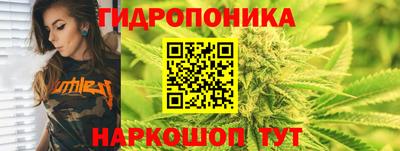 ПСИЛОЦИБИНОВЫЕ ГРИБЫ Сланцы