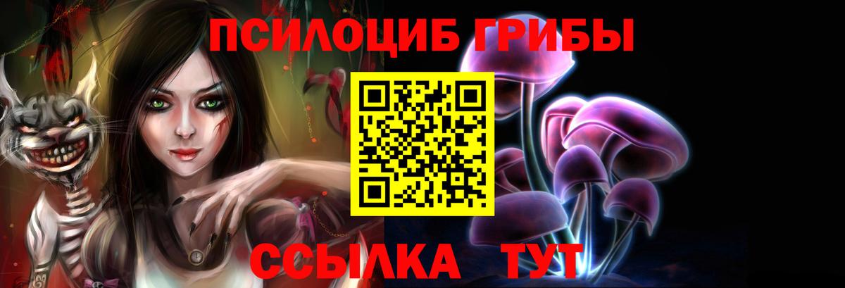 Галлюциногенные грибы GOLDEN TEACHER  Вход с VPN  Тутаев 
